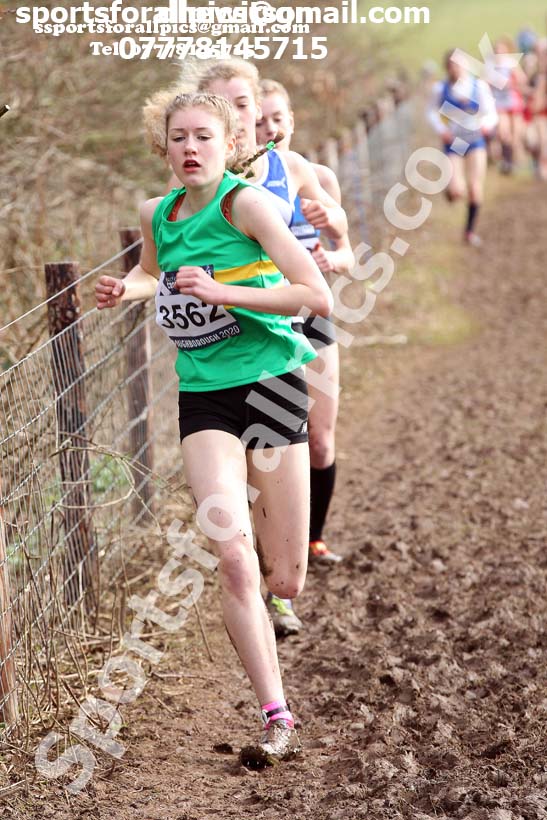 Girls under-15s, 2020 British Athletics Inter Counties Cross Country Champs., Prestwold Hall, Loughborough. Photo: David T. Hewitson/Sports for All Pics